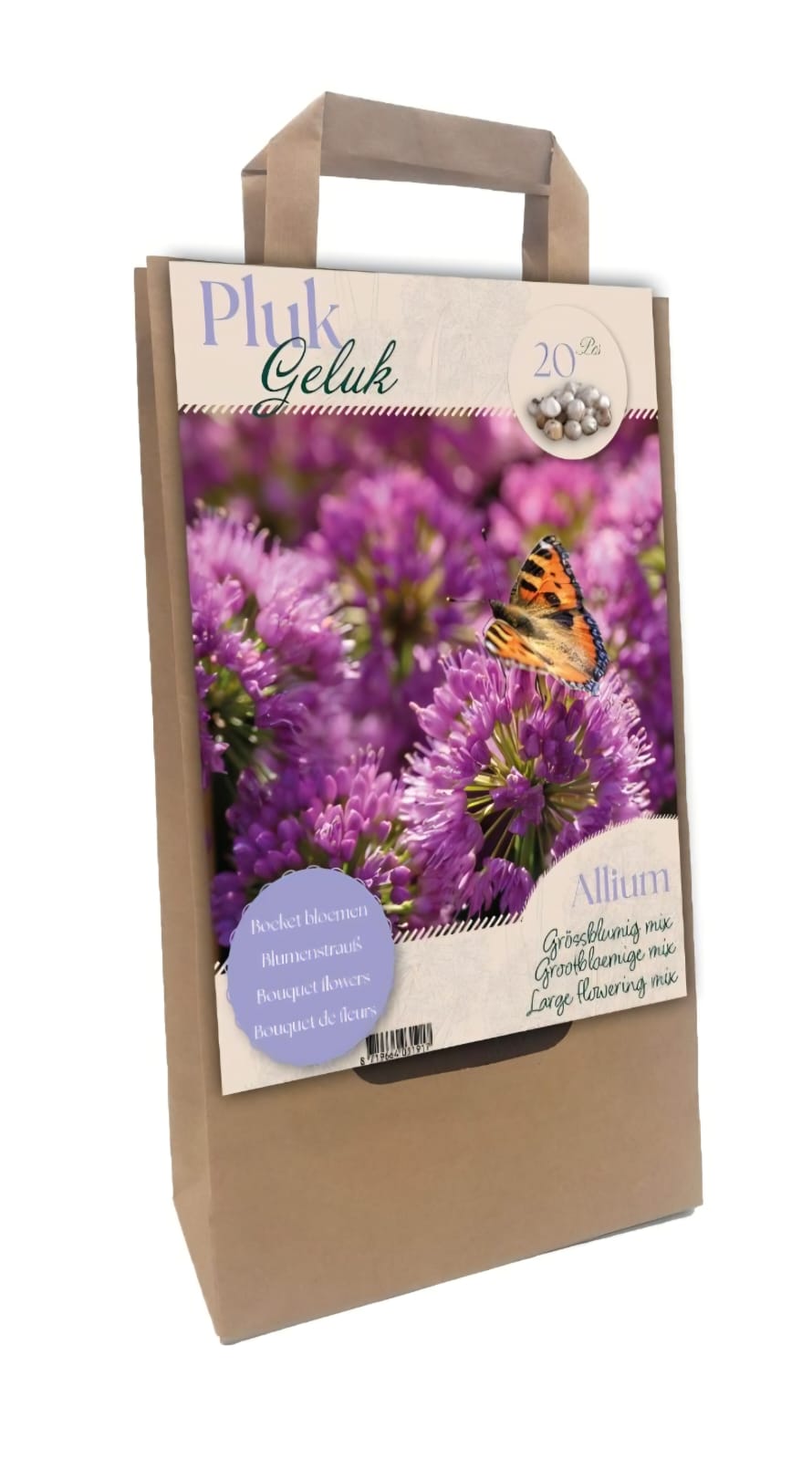Allium Bloembollen