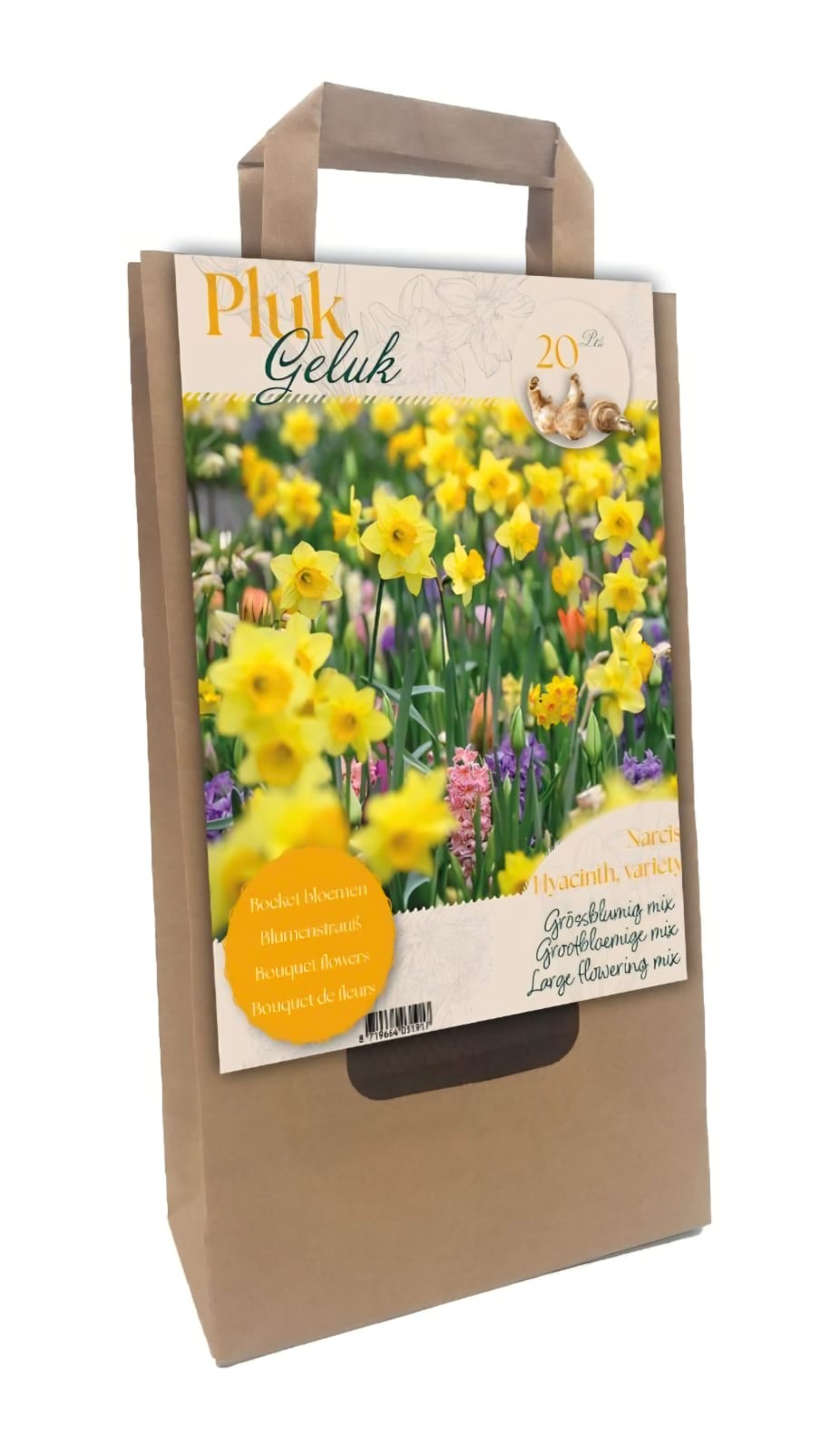 Narcis Bloembollen