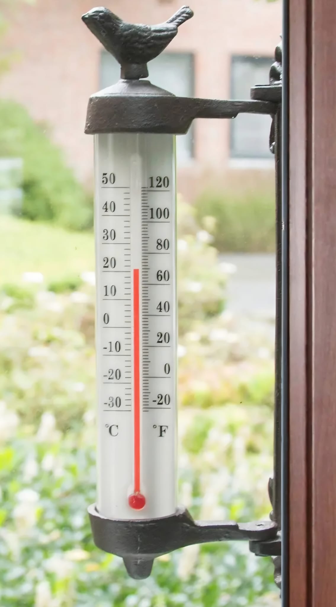 Wandthermometer vogel in giftbox